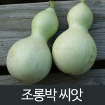 조롱박 씨앗 박 종자 채소 야채 재래종 토종 씨 10알 : 가람원