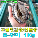 완도전복 특대 활전복 8-9미1kg 참전복 선물세트 산지직송 [화성완도전복직판장] : 완도전복직판장