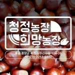 알찬 옥광밤 2019년 수확 5kg~ : 희망농장