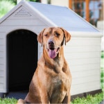 [무료배송] 커버 야외용 애견 하우스 : COCOYOU