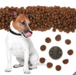 [무료배송] 뉴트리소스치킨 & 라이스 애견사료 13.6kg : COCOYOU