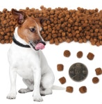 [무료배송]뉴트리소스 라지브리드 퍼피 애견사료 13.6kg : COCOYOU