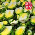 [발송중]속노란 괴산 절임배추20k : 모단농장
