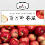 껍질째먹는 지리산 홍로 사과 10kg 36과내외 : 지리산 정영농장