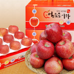 산지직송 고당도 밀양 얼음골사과 : 대흥농원