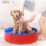 강아지목욕방 접이식 강아지 애견 대형견 고양이 욕조 목욕통 목욕탕 수영장 풀장 : 웨이모어 스토어