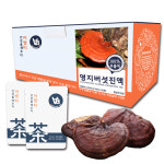 국산 영지버섯 즙 진액 100ml x 30포 : 어썸티