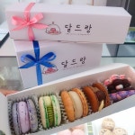 마카롱 5구 10구, 달드랑 : 달드랑