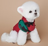 위드토리 3컬러 사이즈S-L 체크 페니백 : 마이앨리스독