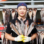 속초 반건조 코다리 5미 10미 : 땡큐파머스