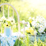 SG 가든 플라워 type (국내) (New) 1L : 에스지