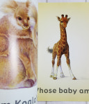 [중고책](Lv.1)  Whose Baby am I  [영어원서/잠수네/그림책] : 웃고리딩