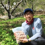 24년 국산호두 유기농 알호두 토종 김천호두 500g : 시월넛-우리호두