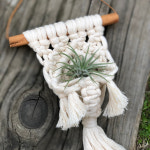 마크라메 공기정화식물 이오난사 행잉 플랜트 미니 : 수풀 플라워