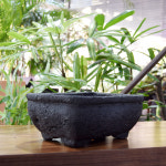 화산석 화분 직사각 24x18x11cm : 베스트 하우스