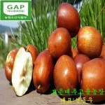 보은황토 생대추6호24mm/2kg예약상품 10월4일순서발송 : 보은대추고을농장
