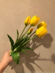 고급조화 튤립(감성 인테리어 소품) : 데일리플라워