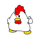 염지닭 생닭 닭 옛날통닭 닭도매 : 에스쓰리