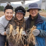 맛있는 홍삼액 90ml x 60포 아침/저녁용 홍삼진액 홍삼액기스 : 산고을