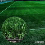 축구장인조잔디 25 35mm 스포츠 실내 풋살장 운동장 인공 잔디 매트 카페트 마당 애견 : 토탈매트