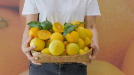 [두머니물농원] 고당도 새콤달콤 서귀포 친환경 노지감귤 3kg,  5kg, 10kg : 두머니물농원