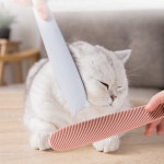 고양이 그루밍빗 그루밍 브러쉬 털제거 : 지고독