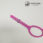 강아지하네스세트 퍼피존 누박 안경하네스 : 뿌꾸베베