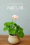 유럽제라늄 예거서스 모르모르 마르타 모카 자르 13 포함 30cm / 듀가르송 / deuxgarcons Europe Geranium Jägershus Mormor Märta... 