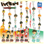 하이큐 츠나가루 연결되는 3개교 마스코트 애니 히나타 켄마 쿠로오 오이카와 가챠 굿즈 : 아니모아