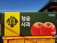 청송 꿀사과 10kg : 청송 예림이네농장