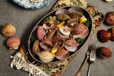 오동통 통영산 비단 홍가리비1KG : 더바다