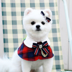 엘린스쿨룩  강아지케이프 대형견스카프 노랑 M : 디얼퍼피