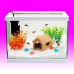 구피하우스세트 30 유리 어항 수족관 : 아마존피쉬앤플랜츠