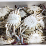 해인수산 서해안 몽당 꽃게 1kg : 다농이네