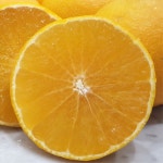 제주도 농장 산지직송 새콤달콤 황금향 5kg : 산들강바다