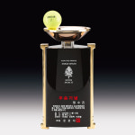 골프트로피 싱글 이글 홀인원 대회 우승 기념 크리스탈 트로피 G0213 : 조은트로피