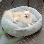 댕냥이 꿀잠 방석 졸려 쿠션 극세사 댕댕이 강아지 냥이 고양이 : 초이스쇼핑
