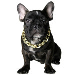 강아지 고양이 금목걸이 반려동물 패션용품 악세서리 목걸이 : 몽이콩