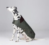 Barbour 바버 강아지 퀼팅 도그 코트 2종 : 골든픽