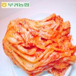 한국농협김치 마이산김치 포기김치 묵은지 국내산100% (김치품평회.최우수상수상) : 한국농협김치 마이산김치