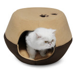 1+1 캣&독 멀티하우스 : 애니나라