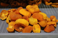 [GAP 인증] 청도 참살이농장 청도반시 감말랭이·반건시 : 청도참살이농장