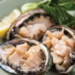 [중요한분께 선물세트] 최고급형 특대 완도 활전복 7-8미 1.5kg(10-12마리) : 완도3대영진수산