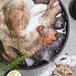 통영 자연산 돌문어1kg : 종가수산