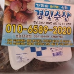 삼배체 개체굴 5kg : 경민수산