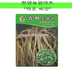 약초-슈퍼도라지/씨앗/종자/1000립 : 한양농업마트