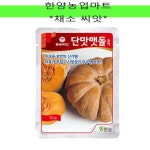 채소-단맛맷돌호박 씨앗 종자 70립 : 한양농업마트