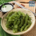 바다포도 (우미부도) 100g : 훈훈수산