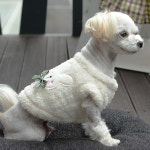 ［내새끼닷컴］▶양면 양털 조끼◀ / 강아지옷 / 고양이옷 : 내새끼닷컴