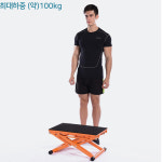 점프 스텝 운동기구 걷기 실내운동 홈트레이닝 : 밀리 어스